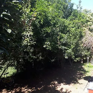 La Casa Di Mango E Pistacchio Affittacamere Segrate